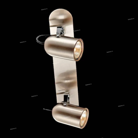 Спот Maytoni Alcor SP311-CW-02-N