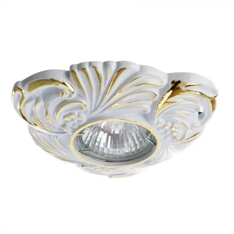 Встраиваемый точечный светильник Arte Lamp Occhio A5285PL-1SG (220V)