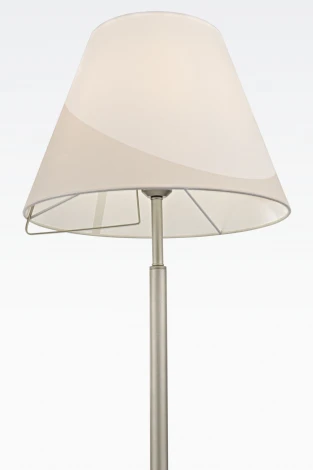 Торшер Freya Vanessa FR5084FL-01G