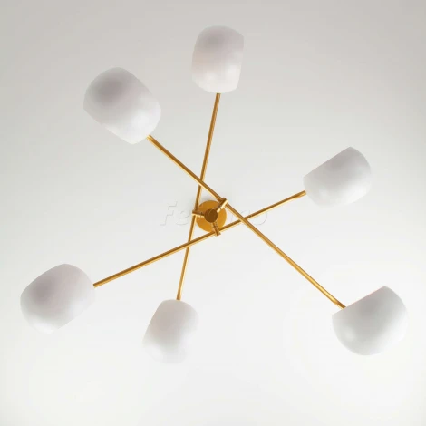 Потолочная люстра Eurosvet Luca 70055/6 белый