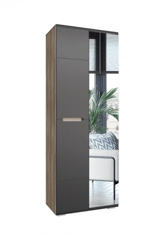 Шкаф БТС с Зеркало БТСм Наоми ШК-22, графит