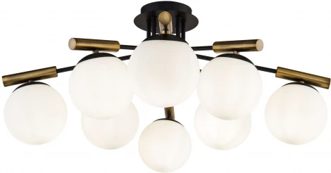 Потолочная люстра Freya Paolina FR5011CL-08B (220V, шарики)