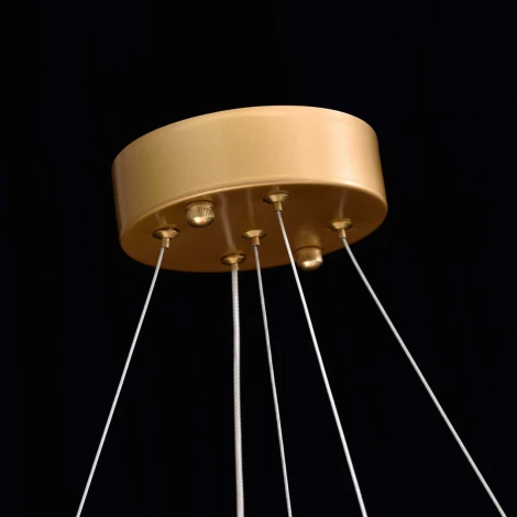 Подвесной светильник Cloyd Turbulent 10782 (LED, 220V, на тросе, кольцо)