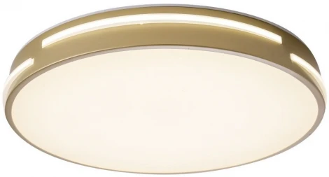 Потолочный светильник круглый со спотами Zortes Gabby ZRS.90610.40 (LED, 220V, круглые)