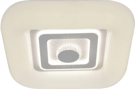 Светильник потолочный светодиодный Casket 10220/SG LED*100W White