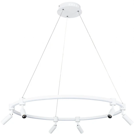 Подвесной светильник Arte Lamp Ring A2186SP-1WH