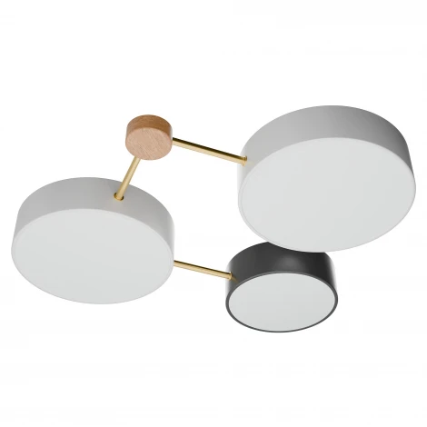 Потолочный светильник светодиодный круглый Lightera Tizzo LE239PL-3WG