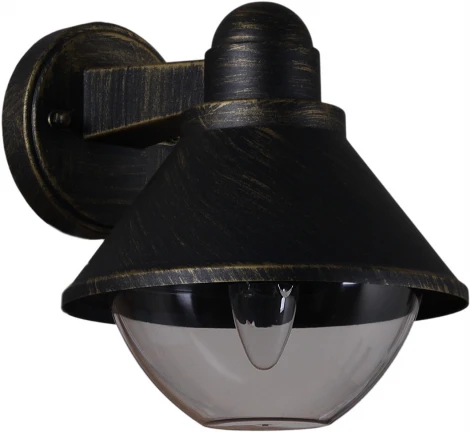 Настенный фонарь уличный Reluce 08298-9.2-001SJ BKG (220V, фонарь, IP54)