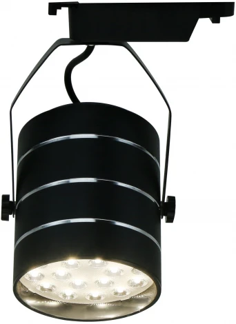 Трековый светильник Arte Lamp Cinto A2718PL-1BK