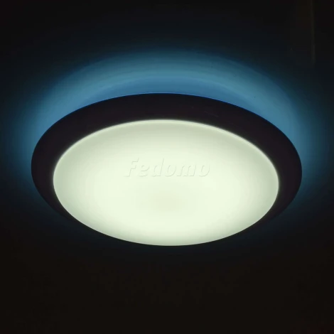 Потолочный светильник MW-Light Ривз 674014201