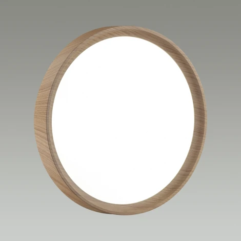 Настенно-потолочный светильник Woodi 7603/CL Sonex (LED, 220V, круглые, IP43)