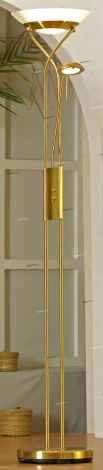 Торшер Lussole Comfort LSN-8245-02