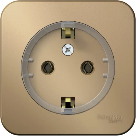 Розетка накладная с заземлением (титан) Systeme Electric Blanca BLNRA110114