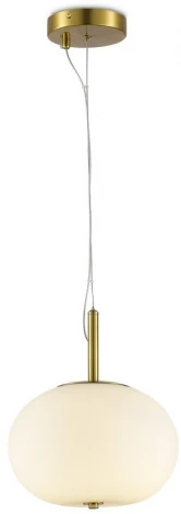 Подвесной светильник Aployt Adeli APL.646.06.15 (LED, 220V, на тросе)