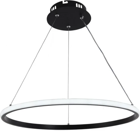 Подвесной светильник Wedo Light Lisel WD6021/1P-BK