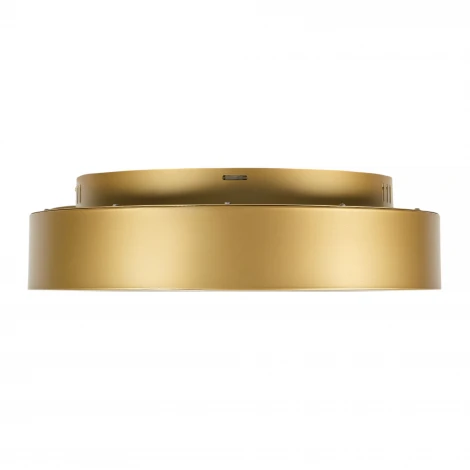 Потолочный светодиодный светильник круглый MyFar Shannon MR2195-1PL (220V, пульт управления, круглые, IP40)