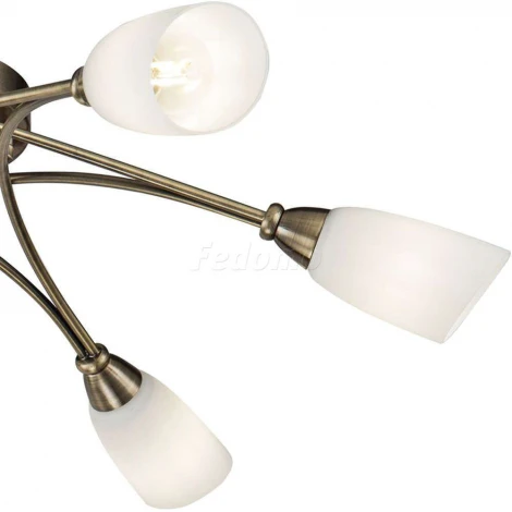 Потолочная люстра Freya Alice FR5021CL-06BZ