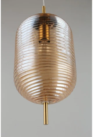 Подвесной светильник Aployt Mattia APL.316.06.01 (220V, на проводе, круглые)