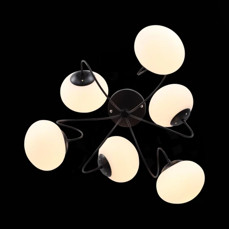 Потолочная люстра ST Luce Acini SL717.402.06