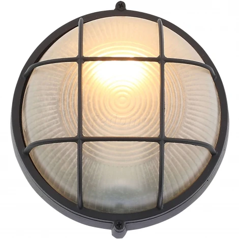 Настенный светильник уличный ST Luce Vecchio SL075.401.01