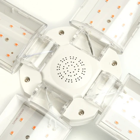 Лампа светодиодная 4-х лепестковая Feron 48445 LB-7000 E27 40W красно-синий спектр