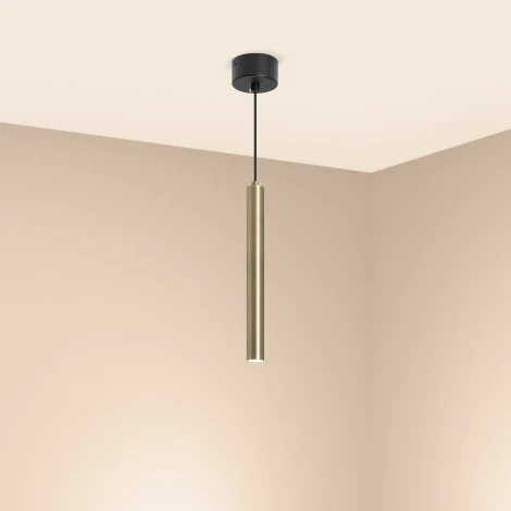 Подвесной светильник LED SP-PIPE-HANG-L300-R30-9W Warm3000 (BR, 24 deg, 230V) (Arlight, IP20 Металл) 038647