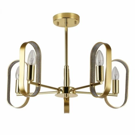 Потолочная люстра F-Promo Scintillans 2483-5P