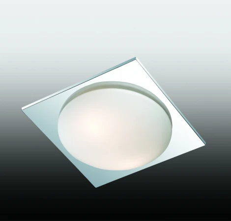 Настенно-потолочный светильник Odeon Light Brido 2761/2C