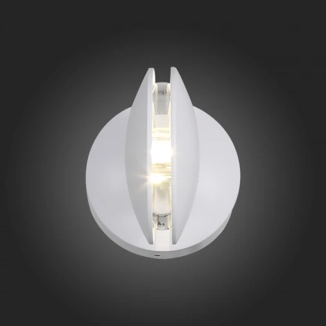 Настенный светильник уличный ST Luce Portato SL090.501.03