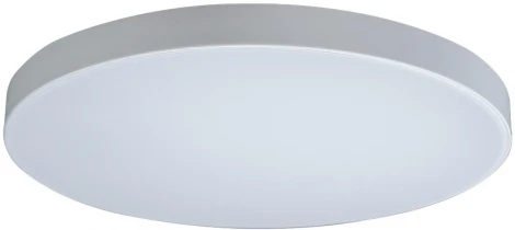 Потолочный светильник круглый Loft IT Axel 10002/48 White (LED, 220V, круглые)