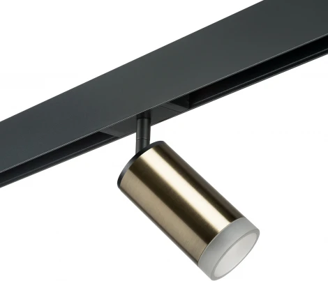 Трековый светильник однофазный 220V Lightstar Rullo PRO43130 (круглые)