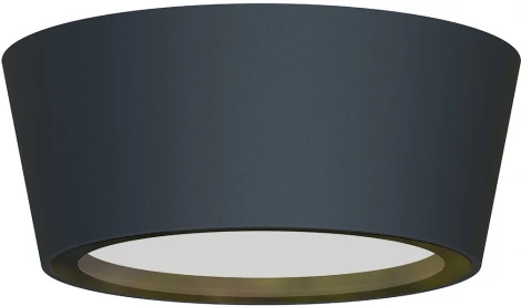 Потолочный светильник уличный Favourite Fantum 4675-1U (220V, круглые, IP54)