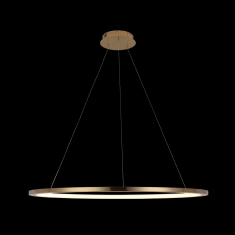 Подвесной светильник Loft IT Ring 10014XL (LED, 220V, на тросе, кольцо)