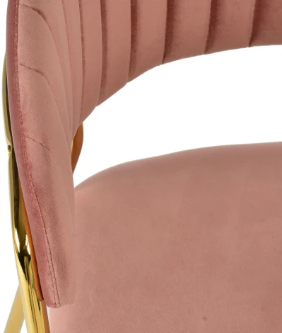 Комплект из 2-х стульев Turin пудровый с золотыми ножками Bradexhome арт.FR 0161P