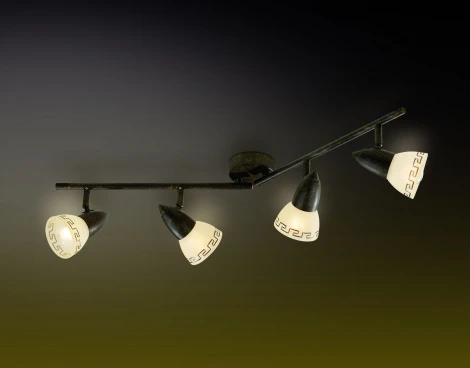 Спот Odeon Light Medeo 2075/4W