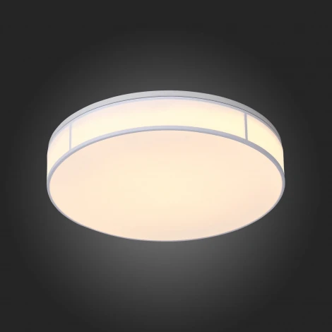 Потолочный светильник ST Luce Fella SL417.502.01