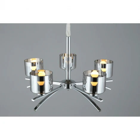 Подвесная люстра Omnilux 558 OML-55803-05 (220V, на цепи)