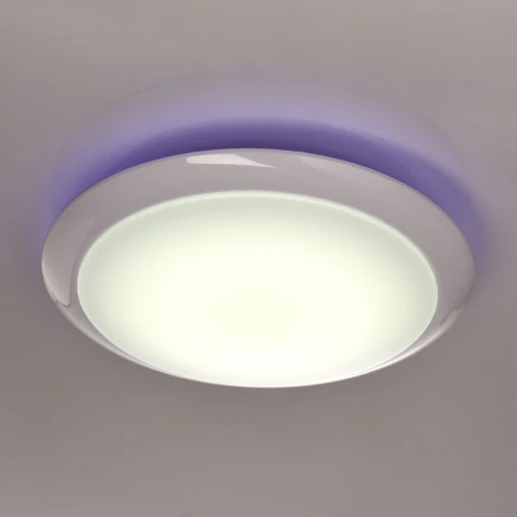Потолочный светильник MW-Light Ривз 674014301