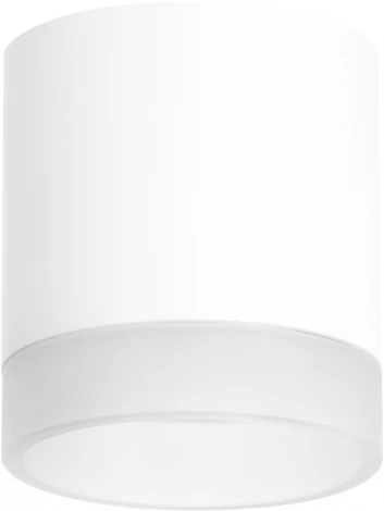 Светильник точечный накладной Lightstar Rullo R348680 (220V, круглые)