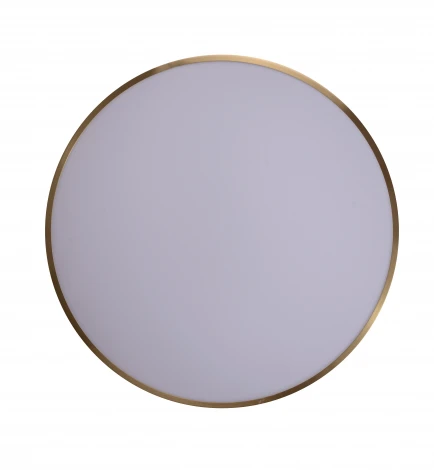 Потолочный светильник круглый Zortes Monna ZRS.1209.12 (LED, 220V, круглые)