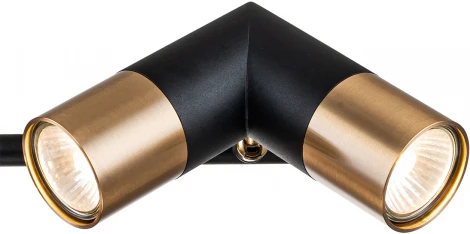 Потолочная люстра на штанге 11036/6R Black Indigo Doppio V000452 (220V)