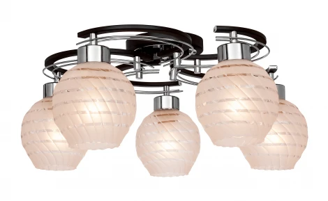 Потолочная люстра Silver Light Viola 258.59.5
