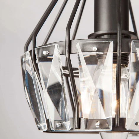 Потолочная люстра Eurosvet Lord 70075/5 черный (220V)