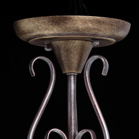 Потолочная люстра MW-Light Аида 323012603