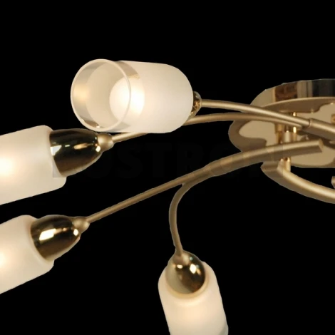 Потолочная люстра Citilux Montana CL117182