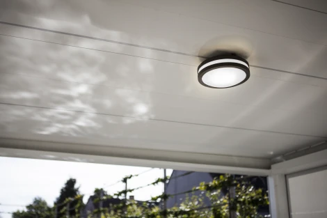 Потолочный светильник уличный Oasis Light SIDNEY 3362 Gr