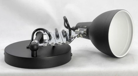 Бра на гибкой ножке Lussole Loft Koyukuk LSP-8049 (220V, IP21)