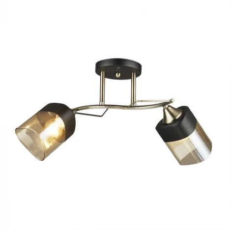 Потолочная люстра Wedo Light Laives 66248.01.37.02