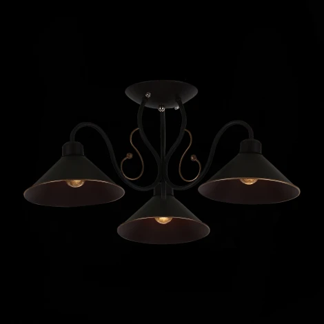 Потолочная люстра Evoluce Ciolla SLE120402-03