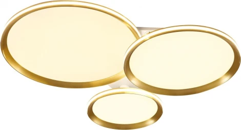 Светильник потолочный светодиодный Stilfort Alumin 4016/05/03C (регулировка яркости, 220V, пульт управления, круглые)